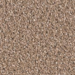 Textured Saxony Dreamcast Brown Carpet