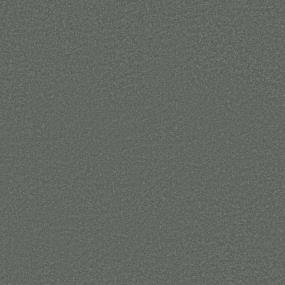 Texture Refreshing Gray Carpet