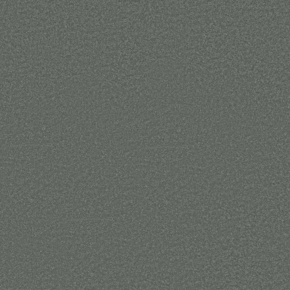 Texture Refreshing Gray Carpet