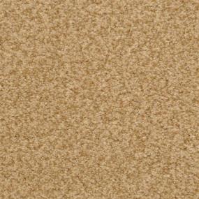 Casual Texture Cheetah Beige/Tan Carpet