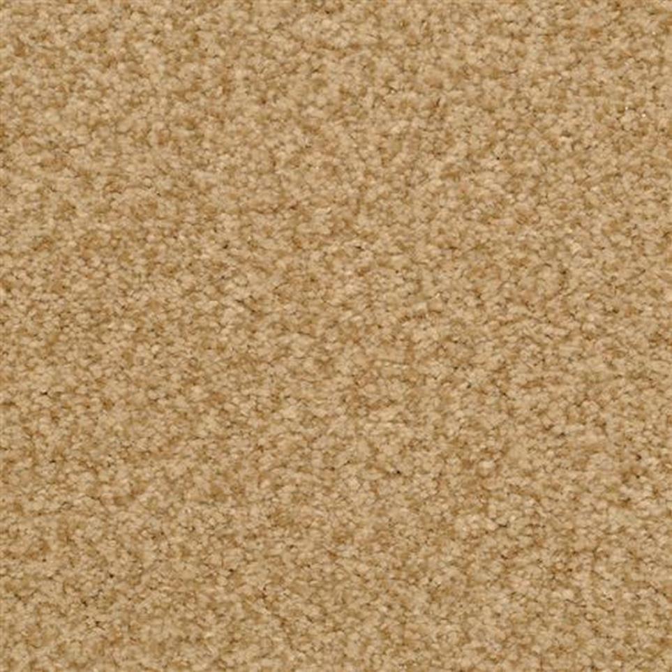 Casual Texture Cheetah Brown Carpet