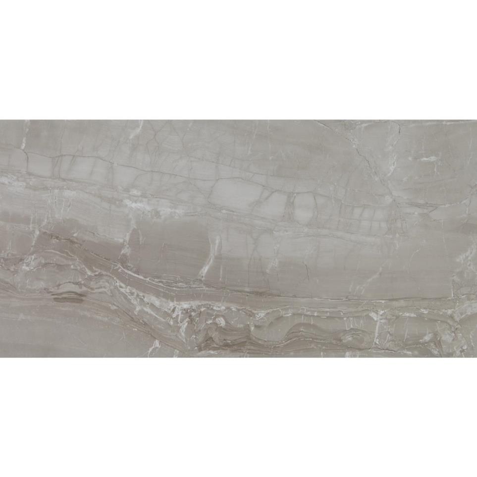 Tile Fortune Polished Gray Tile