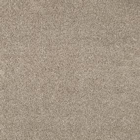 Textured Saxony Advantage Beige/Tan Carpet