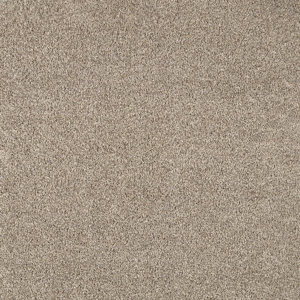 Texture Advantage Beige/Tan Carpet