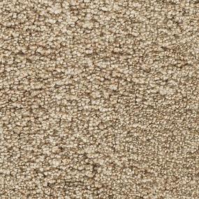 Textured Saxony Swiss Almond Beige/Tan Carpet