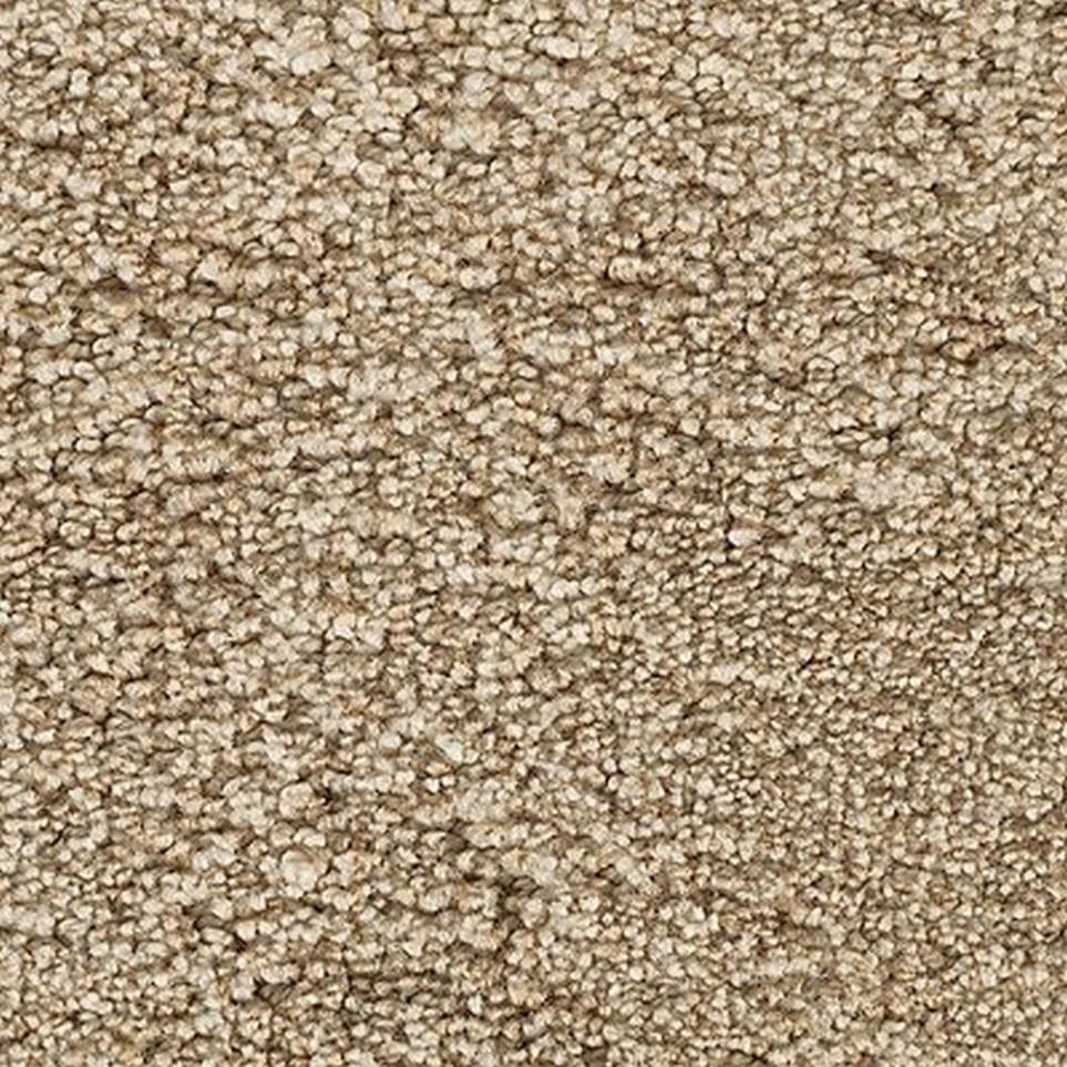 Textured Saxony Swiss Almond Beige/Tan Carpet