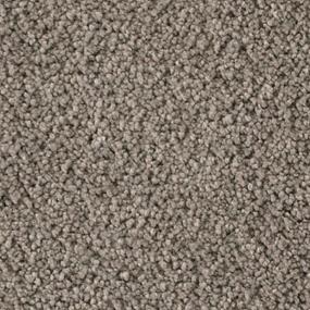 Textured Saxony Urban Gray Carpet