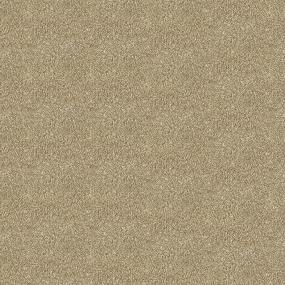 Textured Saxony Winter Bark Beige/Tan Carpet