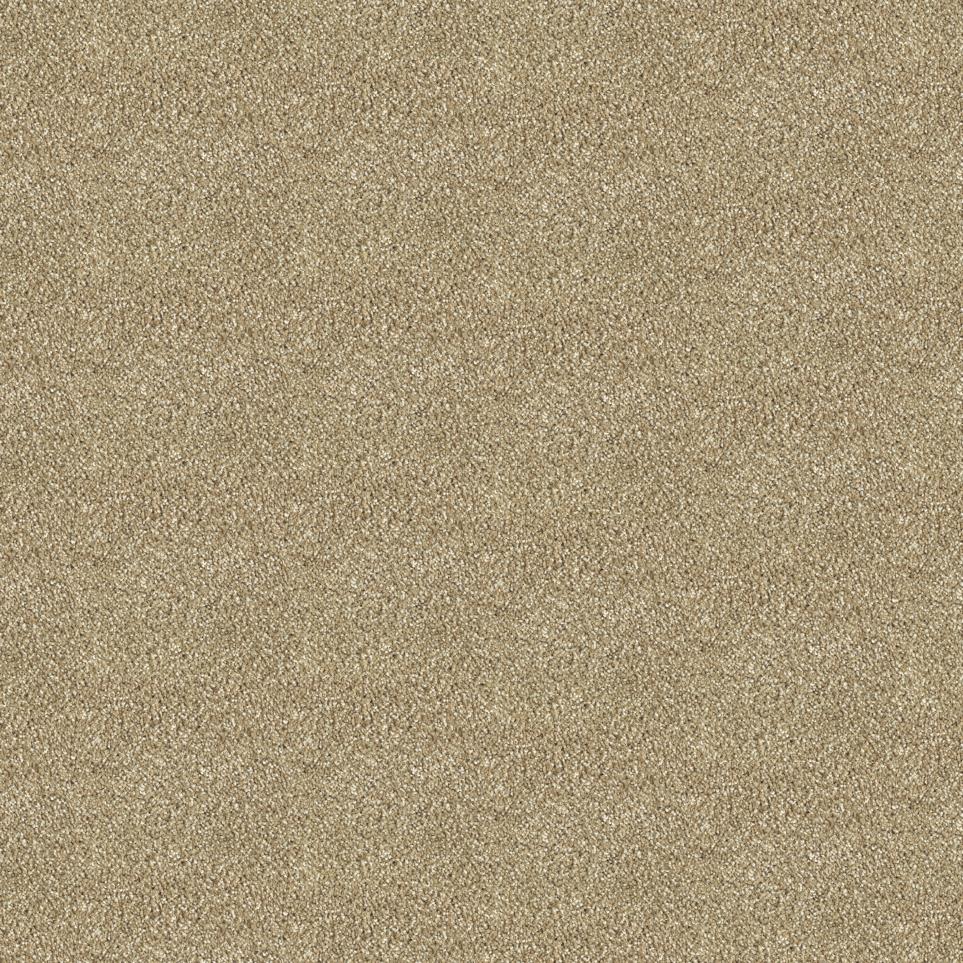 Texture Winter Bark Beige/Tan Carpet