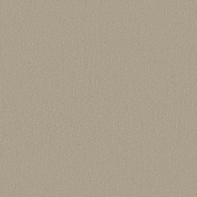 Pattern Sands Of Time Beige/Tan Carpet