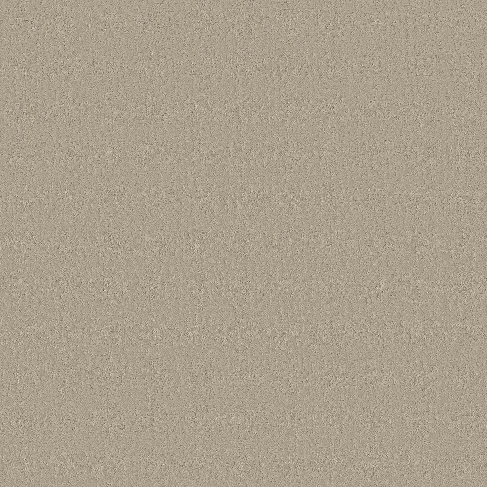 Pattern Sands Of Time Beige/Tan Carpet