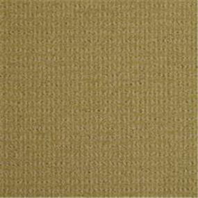 Pattern Sandwisp Beige/Tan Carpet