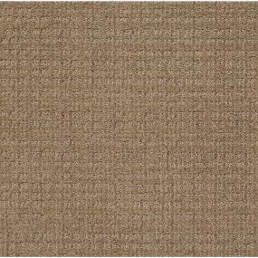 Pattern Twig Beige/Tan Carpet