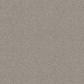 Textured Saxony Oxford Beige/Tan Carpet