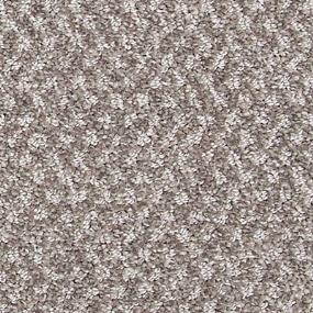 Pattern Pathway Gray Carpet