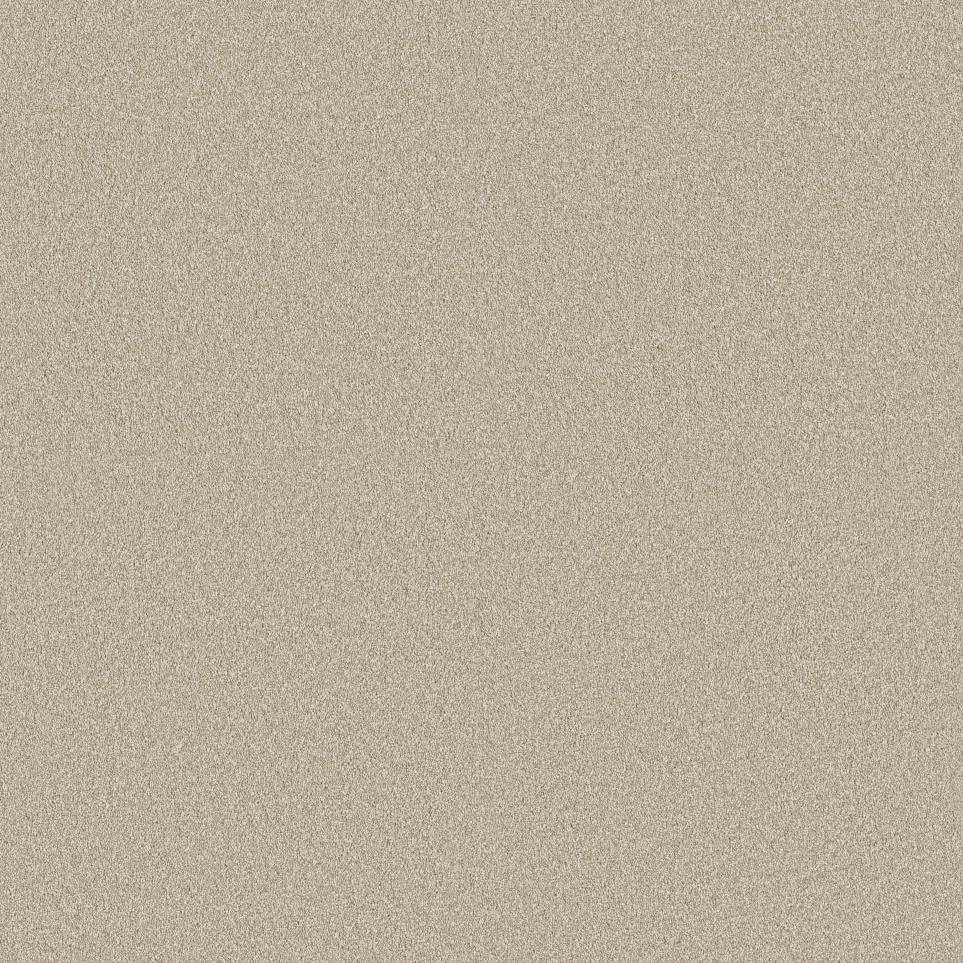 Texture Nutria Beige/Tan Carpet