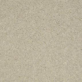 Textured Saxony Milkweed Beige/Tan Carpet