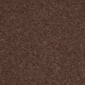 Textured Saxony Fudge Brown Carpet