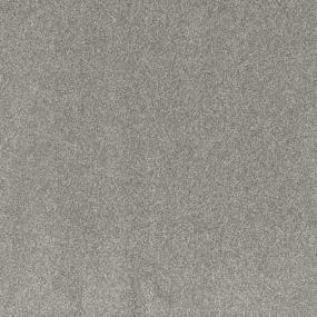 Textured Saxony First Impression Gray Carpet
