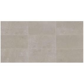 Tile Coliseum Gray Polished Gray Tile