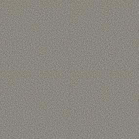 Textured Saxony Once In A Lifetime Brown Carpet