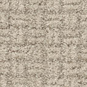 Pattern Chenille Beige/Tan Carpet