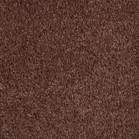 Textured Saxony Mythology Brown Carpet