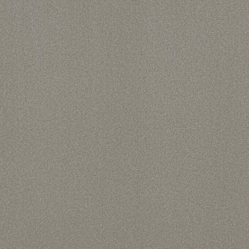 Textured Saxony Spoken Request Beige/Tan Carpet