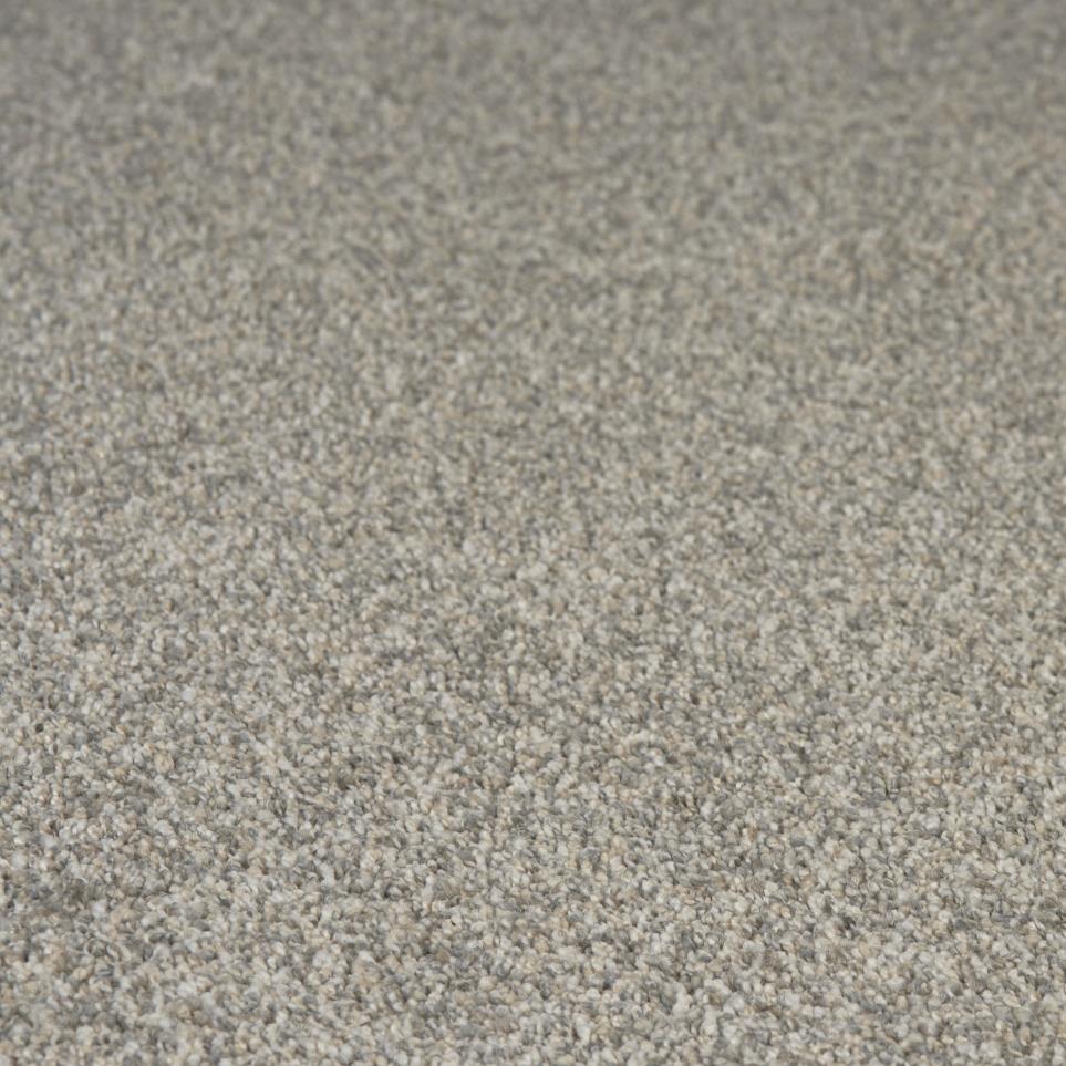 Textured Saxony Well Kept Beige/Tan Carpet