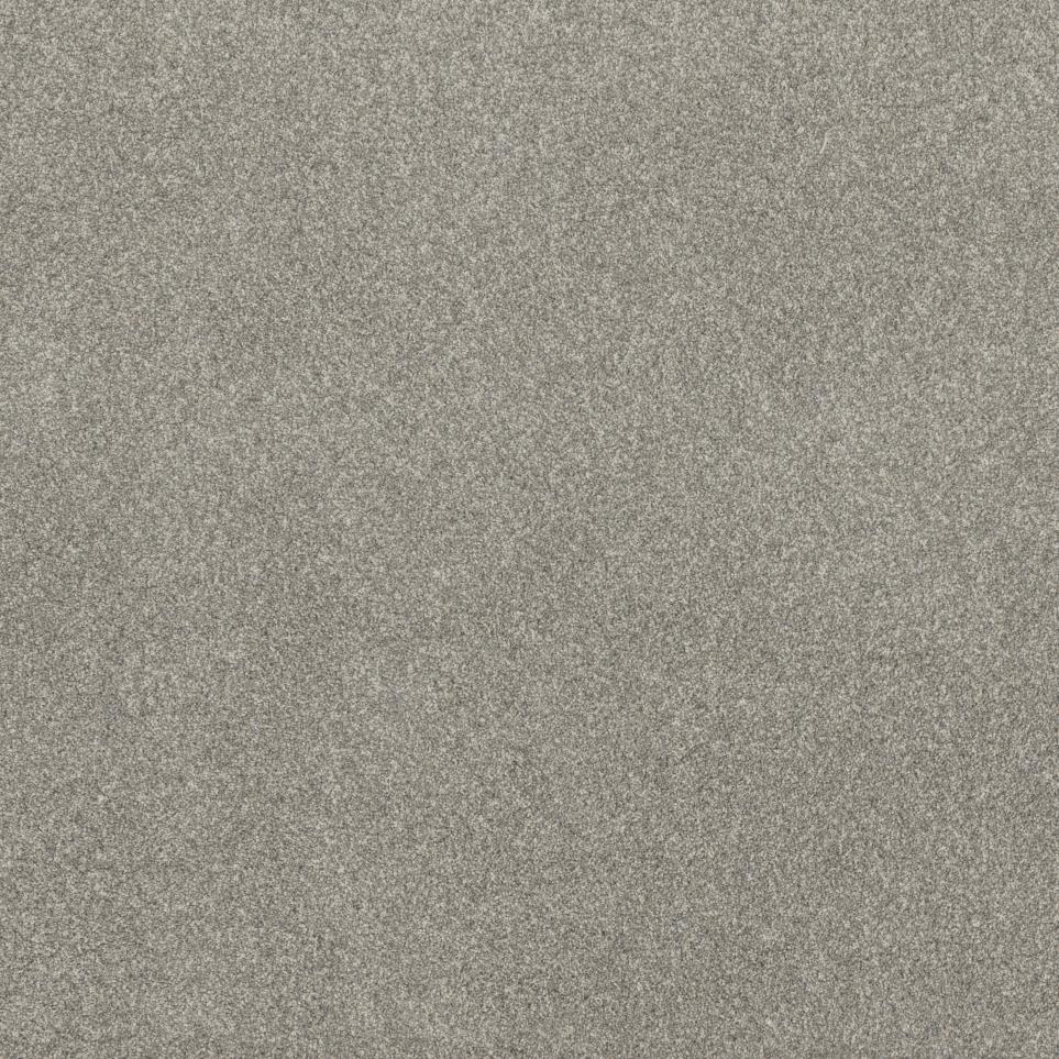 Textured Saxony Well Kept Beige/Tan Carpet