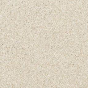 Texture White Rose White Carpet