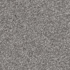 Casual Texture Metro Gray Carpet