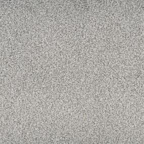 Textured Saxony Pleasing Gray Carpet