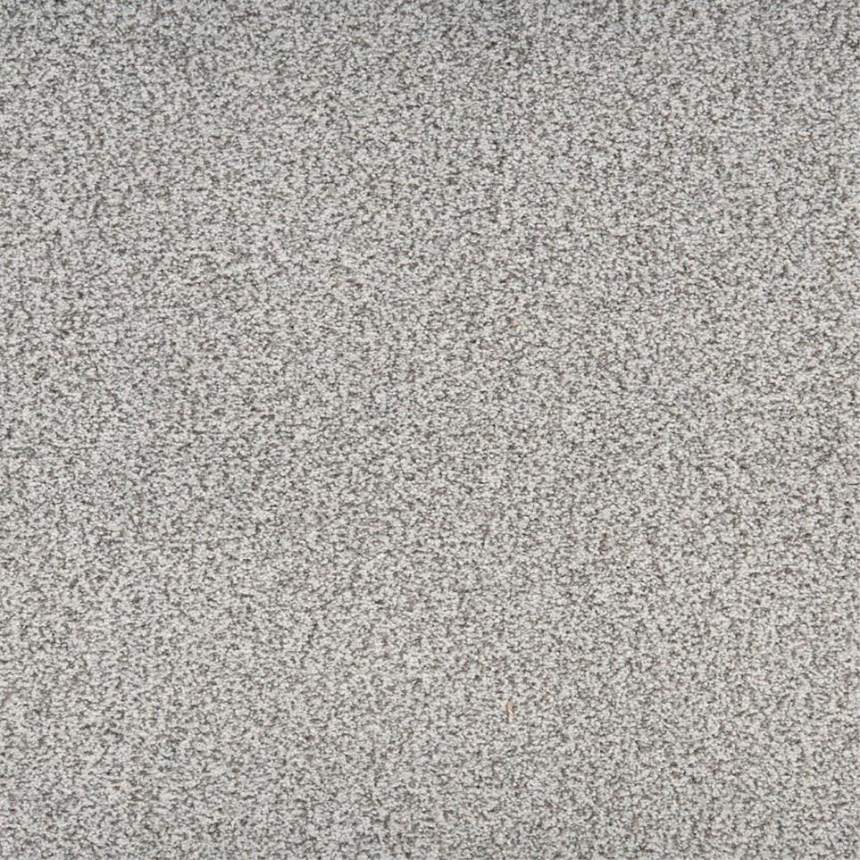 Textured Saxony Pleasing Gray Carpet