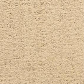 Pattern Sandstone Beige/Tan Carpet