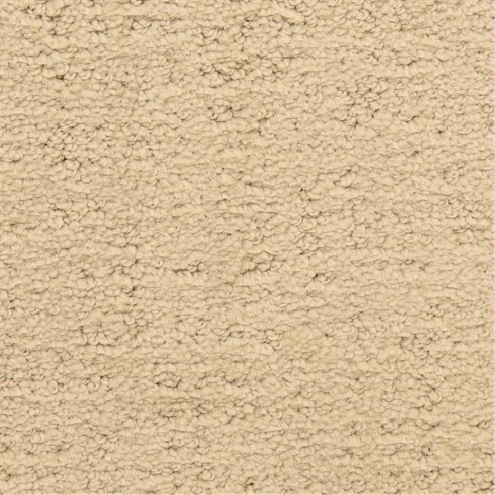 Pattern Sandstone Beige/Tan Carpet