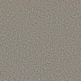 Textured Saxony Once In A Lifetime Beige/Tan Carpet
