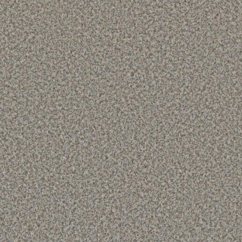 Textured Saxony Once In A Lifetime Beige/Tan Carpet