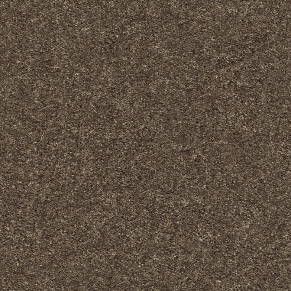 Texture Russet Brown Carpet