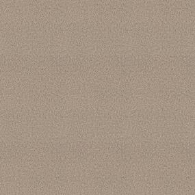 Textured Saxony Pathway Beige/Tan Carpet