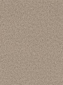 Textured Saxony Pathway Beige/Tan Carpet