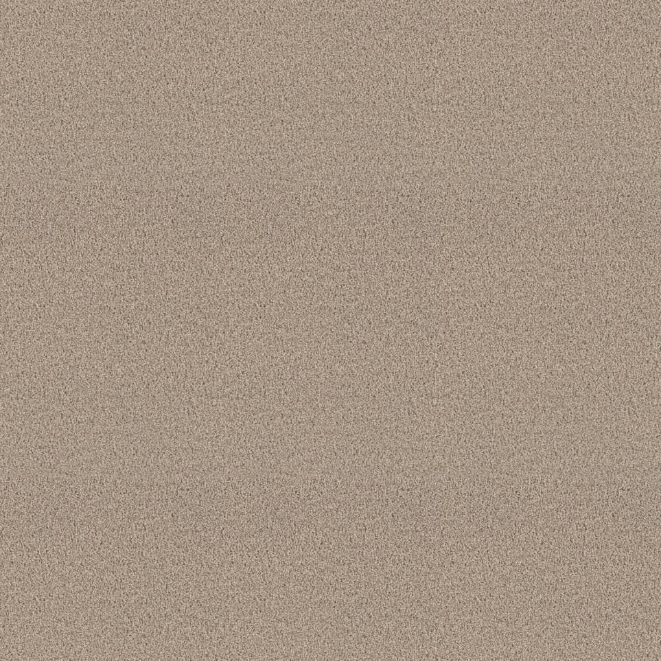 Textured Saxony Pathway Beige/Tan Carpet