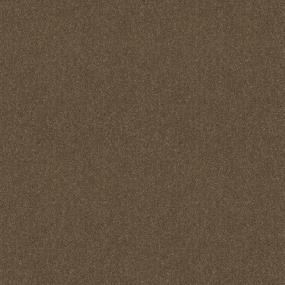 Textured Saxony Scarecrow Brown Carpet