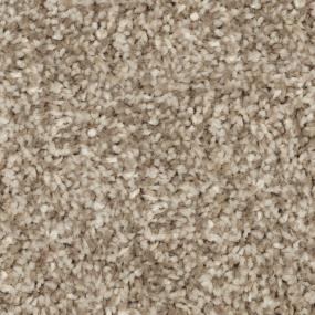 Casual Texture Soak Up The Sun Brown Carpet
