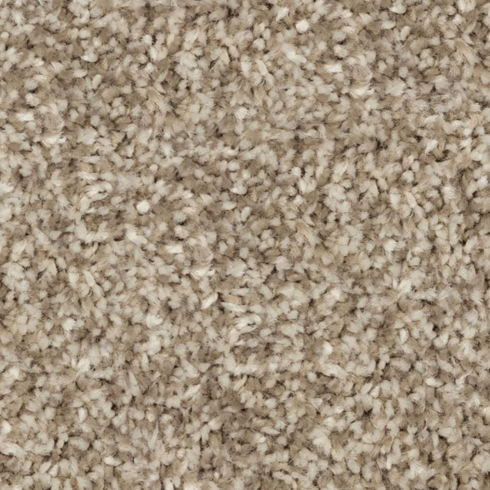 Casual Texture Soak Up The Sun Brown Carpet