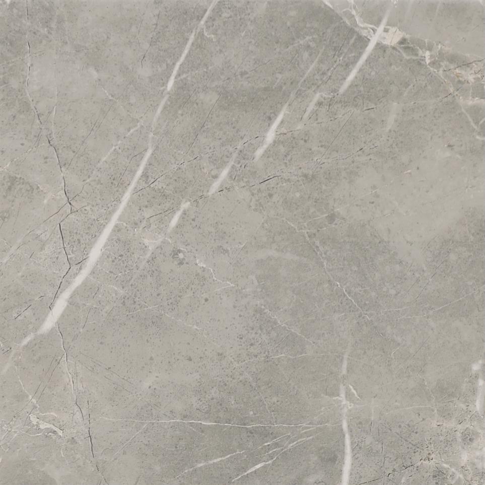 Tile Dove Matte Gray Tile