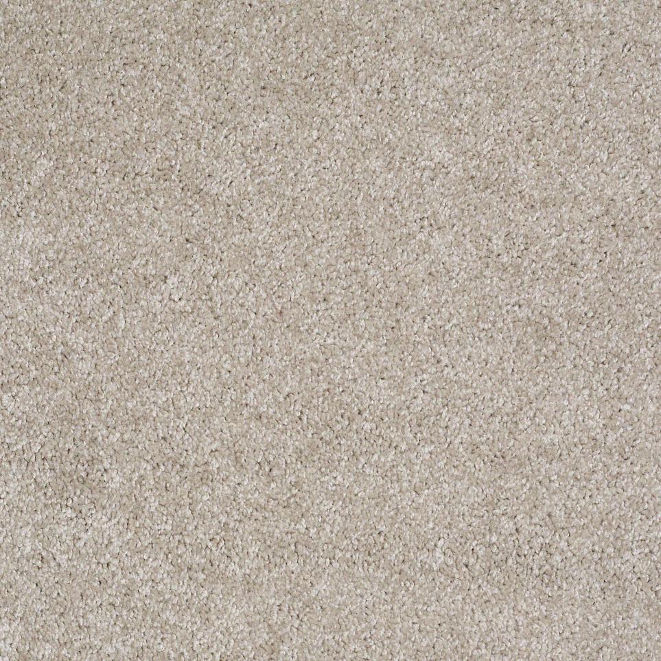 Texture Dry Champagne  Carpet