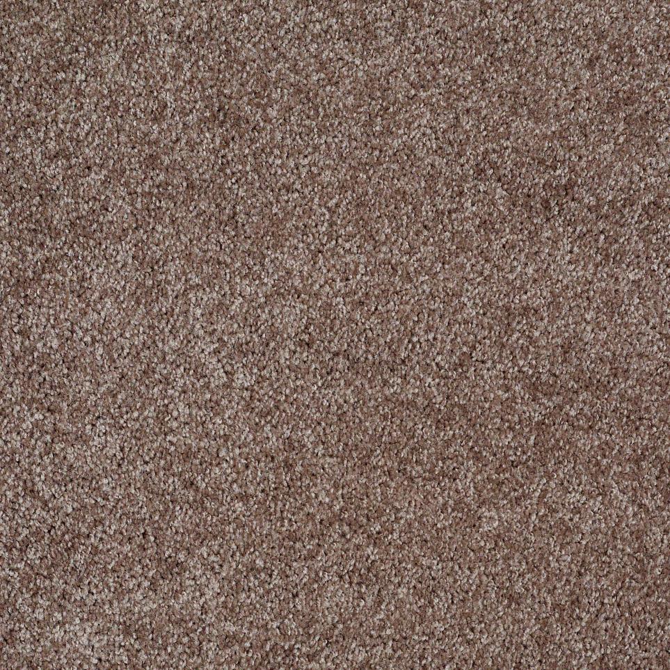 Texture Tumbleweed Brown Carpet