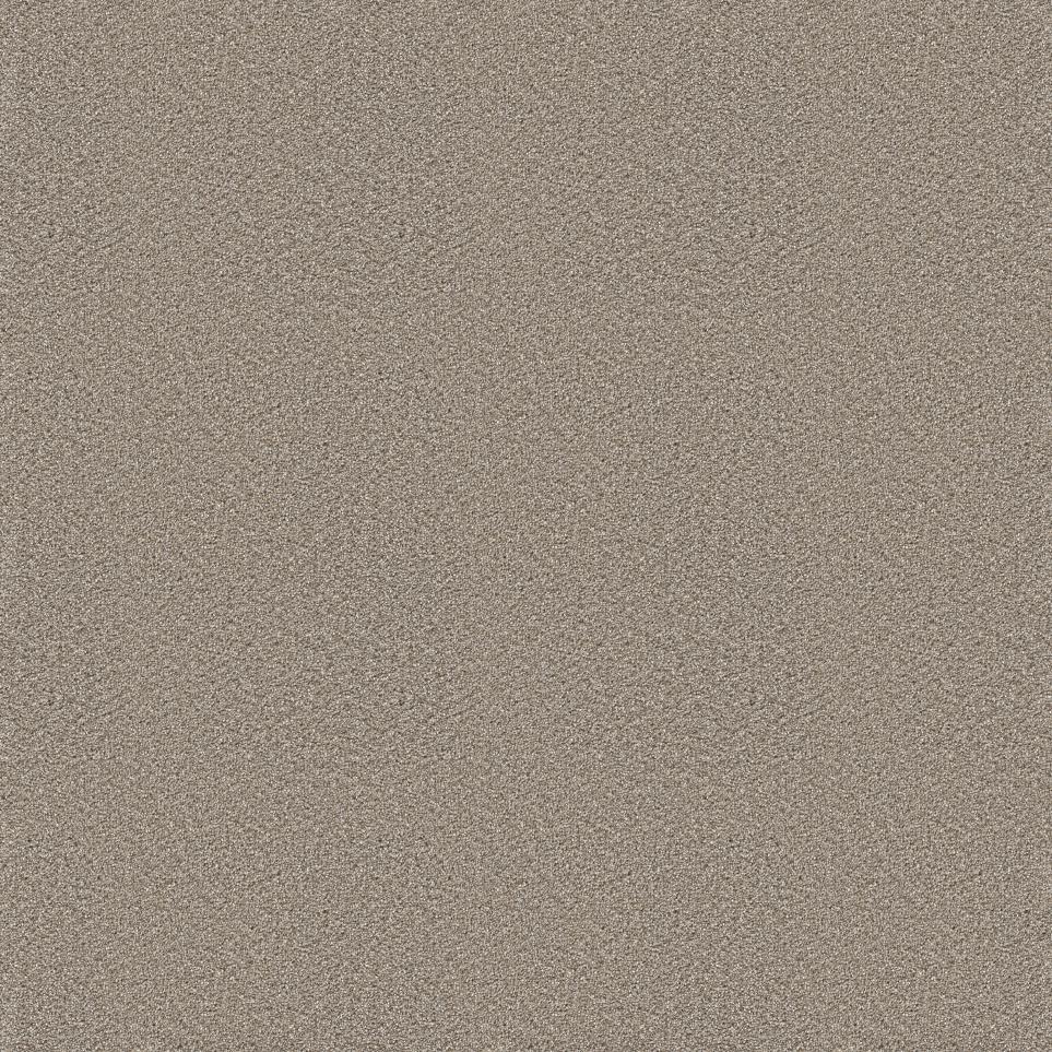Texture Sonesta Beige/Tan Carpet