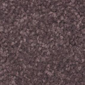 Textured Saxony Paris Purple Carpet